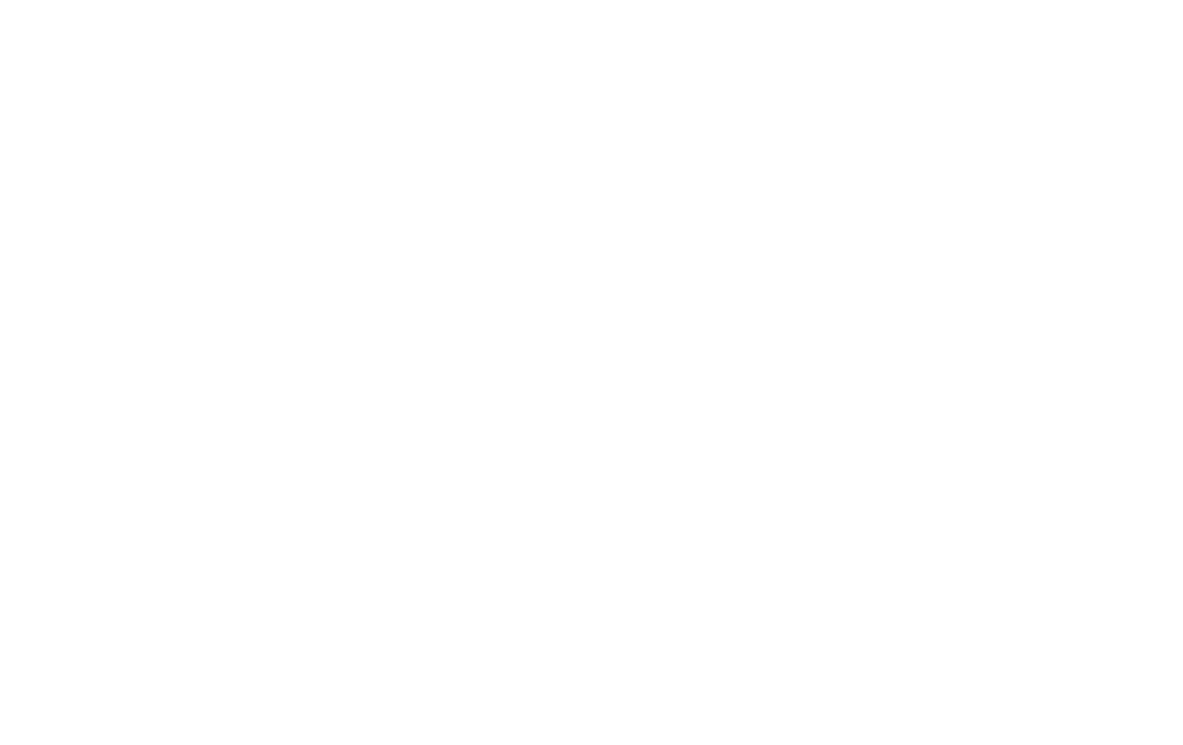 WBI logo blanc